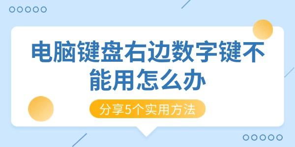 電腦鍵盤(pán)右邊數(shù)字鍵不能用怎么辦