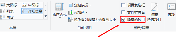 隱藏的項目