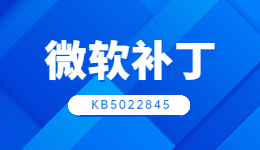Win11推送補(bǔ)丁更新KB5022845，修復(fù)與系統(tǒng)更新看這里