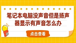 筆記本電腦沒聲音但是揚(yáng)聲器顯示有聲音怎么辦 查看解決方法