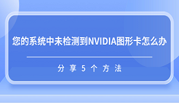 您的系統(tǒng)中未檢測到NVIDIA圖形卡怎么辦 分享5個方法