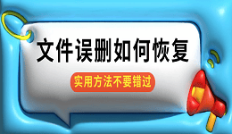 文件誤刪如何恢復 實用方法不要錯過