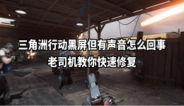 三角洲行動(dòng)黑屏但有聲音怎么回事 老司機(jī)教你快速修復(fù)